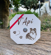 Thumbnail for Haltère - Apportable obéissance personnalisée