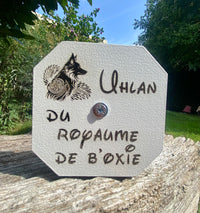 Thumbnail for Haltère - Apportable obéissance personnalisée