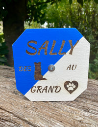 Thumbnail for Haltère - Apportable obéissance personnalisée