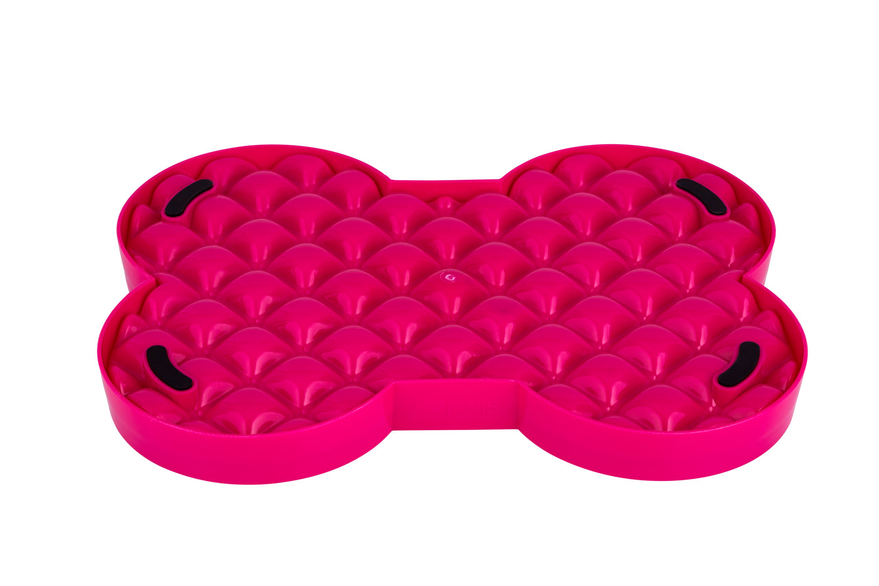 Gamelle SloDog