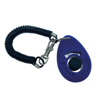 Thumbnail for Clicker bracelet