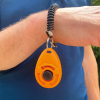 Thumbnail for Clicker bracelet