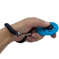 Thumbnail for Clicker bracelet
