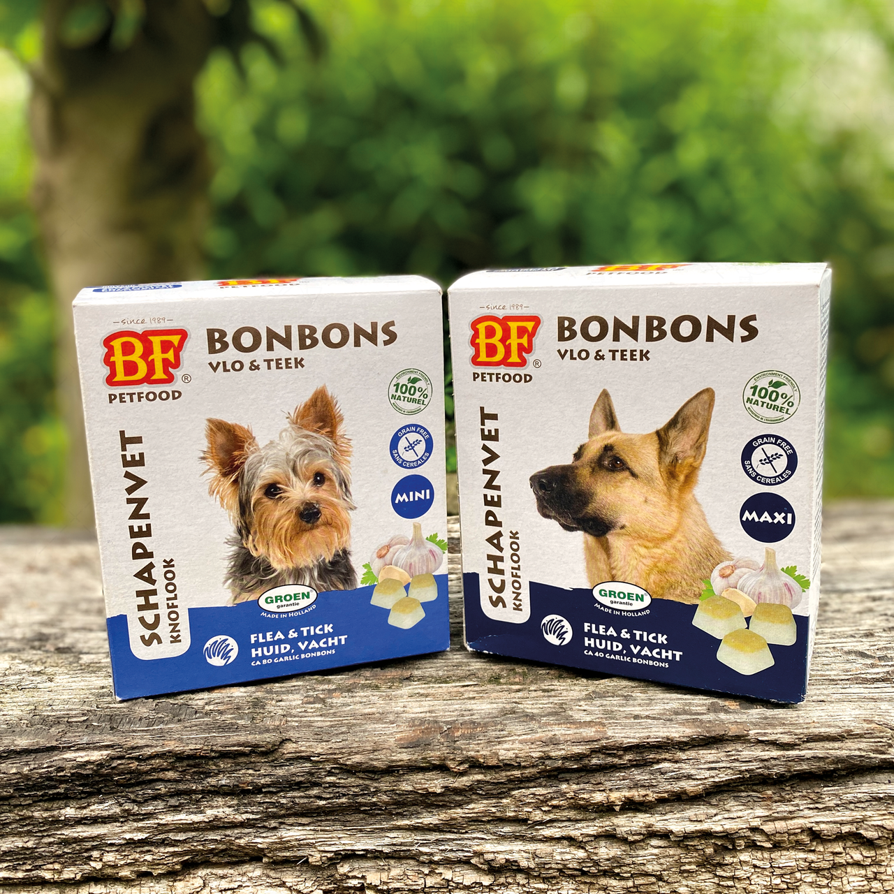 Bonbons Antiparasitaires naturels