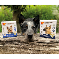 Thumbnail for Bonbons Antiparasitaires naturels