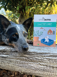 Thumbnail for Livret de conseils & astuces – Accueillir son chiot en toute sérénité